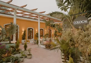 Visit Colocal Cafe with family and friends